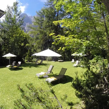 Les Sources Des Alpes