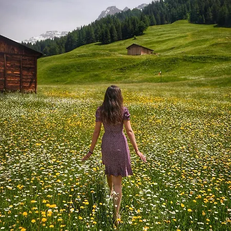 Les Sources Des Alpes Лейкербад