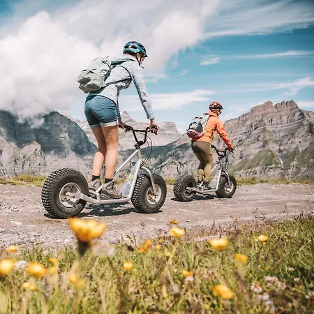 Готель Les Sources Des Alpes