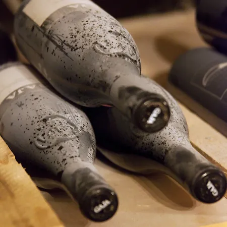 Les Sources Des Alpes Hotel