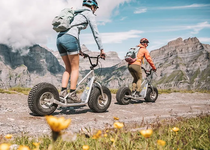 ホテル Les Sources Des Alpes