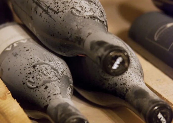 Les Sources Des Alpes ホテル