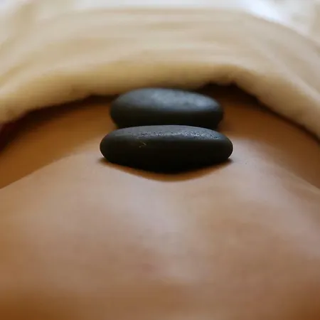 Résidence Les Sources Des Alpes Hotel 4*